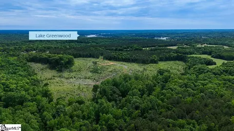 00 Todd Quarter Rd, Waterloo, SC 29384 photo 2