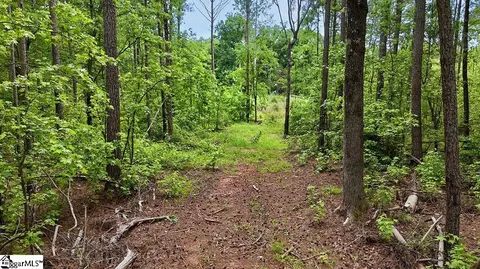 00 Todd Quarter Rd, Waterloo, SC 29384 photo 7