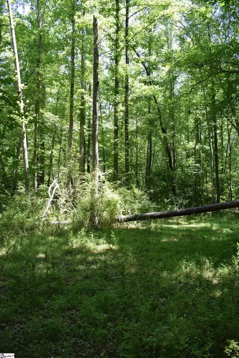Floyd Blackwell Road, Tryon, NC 28722 photo 17