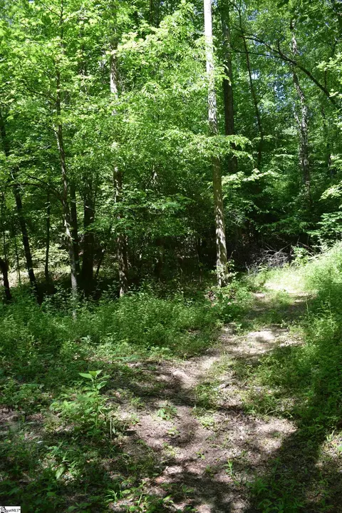 Floyd Blackwell Road, Tryon, NC 28722 photo 7
