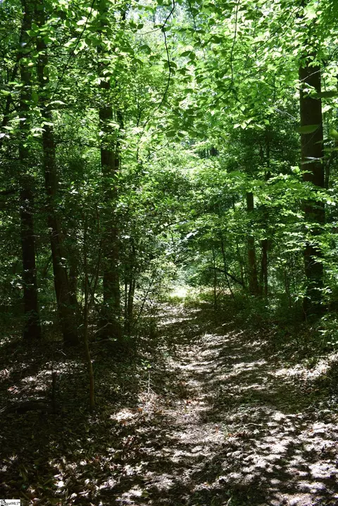 Floyd Blackwell Road, Tryon, NC 28722 photo 4
