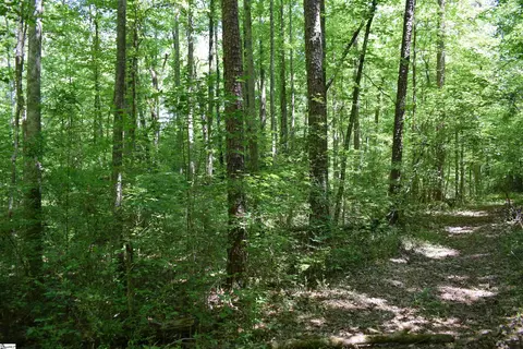 Floyd Blackwell Road, Tryon, NC 28722 photo 23