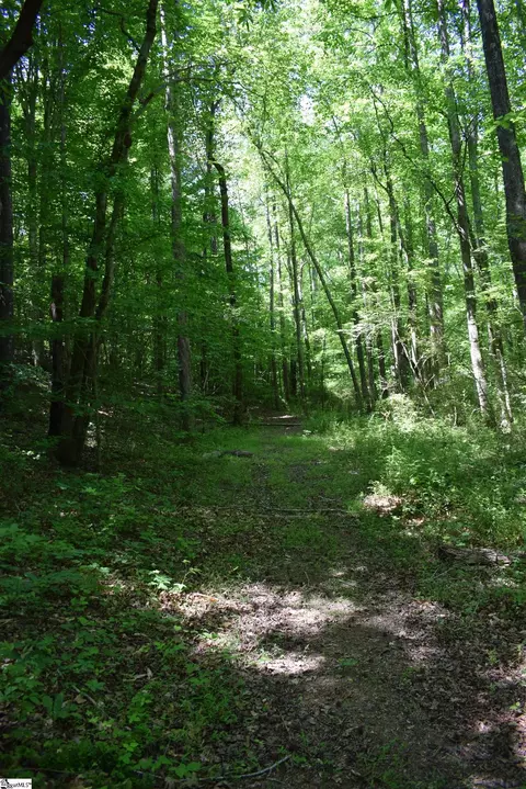 Floyd Blackwell Road, Tryon, NC 28722 photo 14
