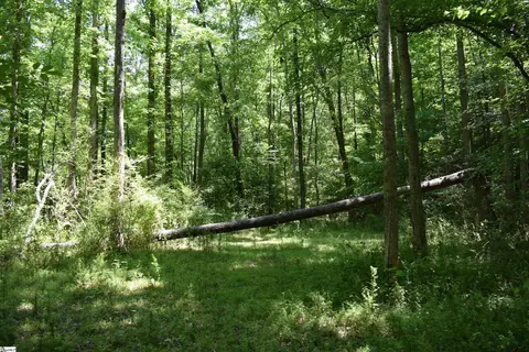 Floyd Blackwell Road, Tryon, NC 28722 photo 18