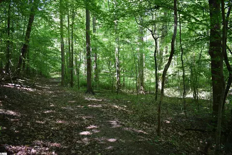 Floyd Blackwell Road, Tryon, NC 28722 photo 16