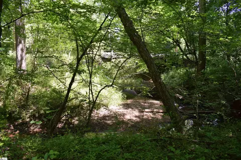 Floyd Blackwell Road, Tryon, NC 28722 photo 12