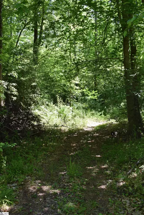 Floyd Blackwell Road, Tryon, NC 28722 photo 6