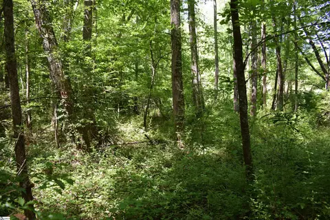 Floyd Blackwell Road, Tryon, NC 28722 photo 11
