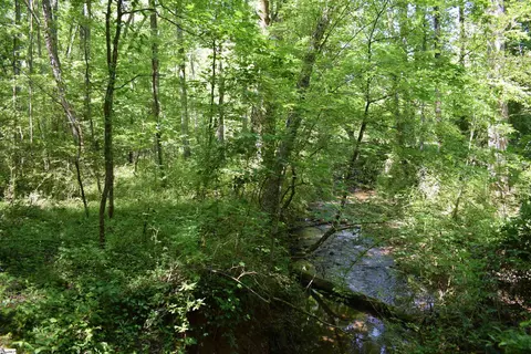 Floyd Blackwell Road, Tryon, NC 28722 photo 10
