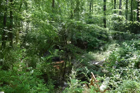 Floyd Blackwell Road, Tryon, NC 28722 photo 5