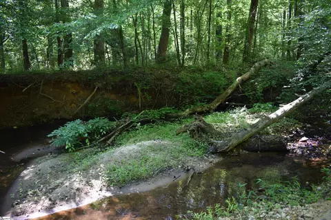 Floyd Blackwell Road, Tryon, NC 28722 photo 9