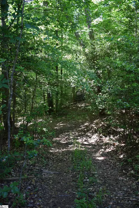 Floyd Blackwell Road, Tryon, NC 28722 photo 3