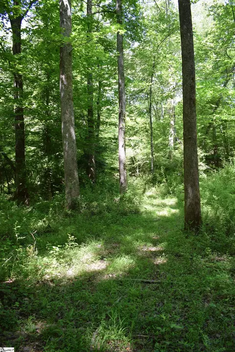 Floyd Blackwell Road, Tryon, NC 28722 photo 19