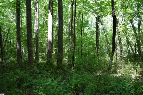 Floyd Blackwell Road, Tryon, NC 28722 photo 15