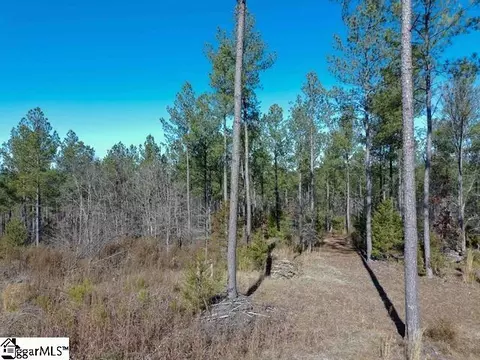 0 Fields Rd, Pauline, SC 29374 photo 5