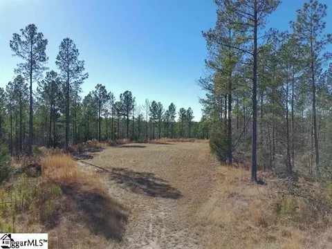 0 Fields Rd, Pauline, SC 29374 photo 4