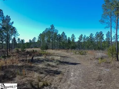 0 Fields Rd, Pauline, SC 29374 photo 3