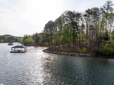 390 Peninsula Rdg, Sunset, SC 29685 photo 25