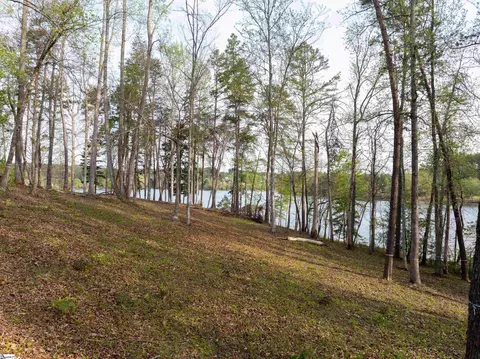 390 Peninsula Rdg, Sunset, SC 29685 photo 29