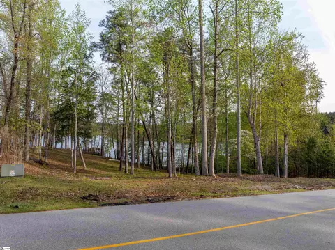 390 Peninsula Rdg, Sunset, SC 29685 photo 27