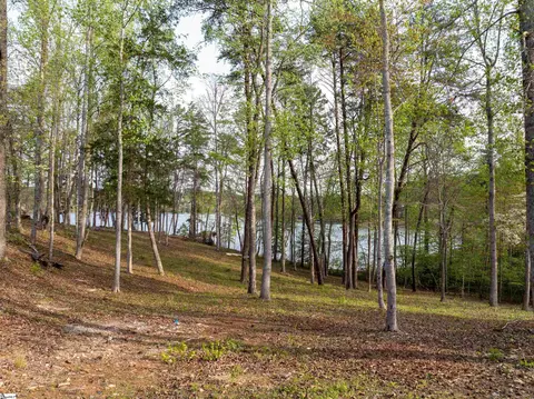 390 Peninsula Rdg, Sunset, SC 29685 photo 28