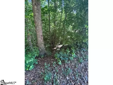0 Sitton Mill Rd, Seneca, SC 29678 photo 5