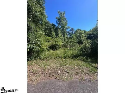 0 Sitton Mill Rd, Seneca, SC 29678 photo 3