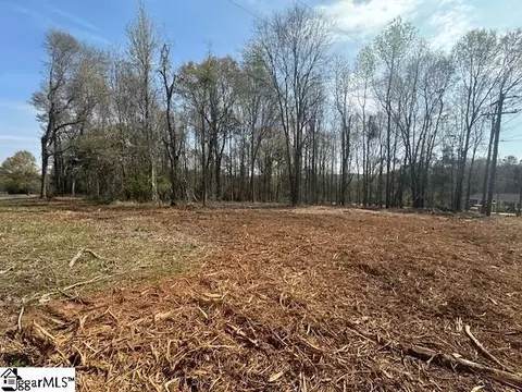 Circle Road, Greer, SC 29651 photo 3
