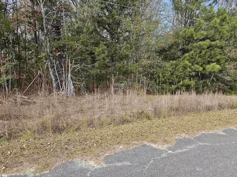 91 Rest Rd, Waterloo, SC 29384 photo 7