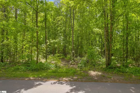 00 Erin Ln, Pickens, SC 29671