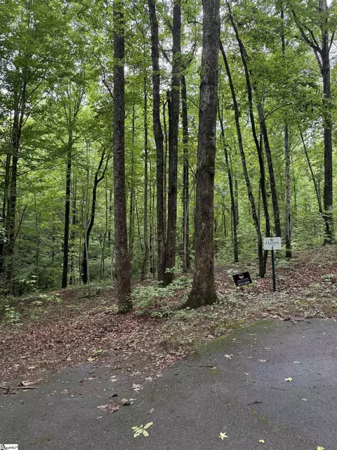 125 Cottage Side Trl, Travelers Rest, SC 29690