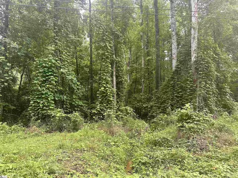 Undisclosed, Marietta, SC 29661