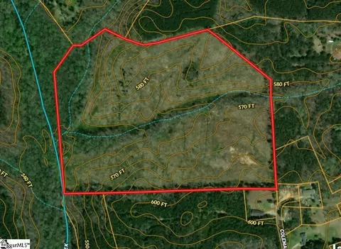 00 Coleman Rd, Clinton, SC 29325