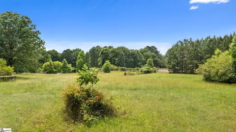 00 E Main St, Laurens, SC 29360 photo 18