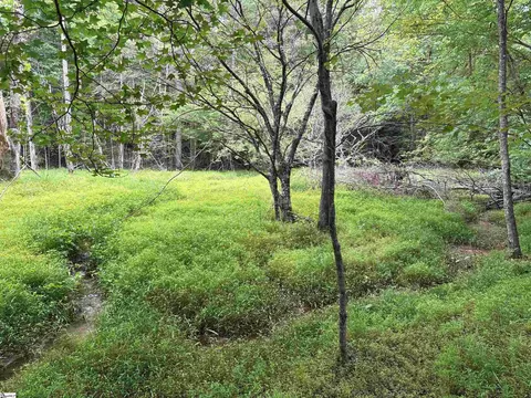 1087 Bobby Facuette Rd, Jonesville, SC 29353