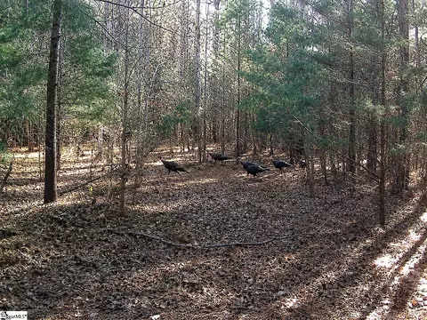 0 Simpson Mill Rd, Laurens, SC 29360