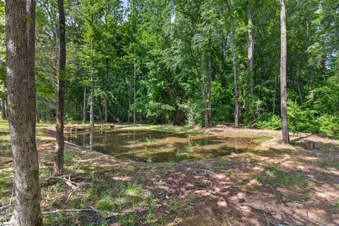 145 Old Sanders Rd, Pendleton, SC 29670 photo 30