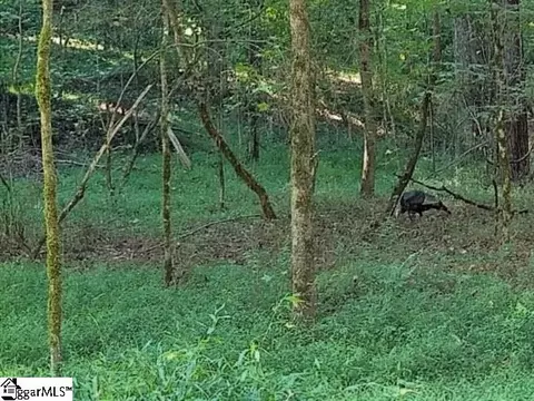 Other - 761 Pearson Town Rd, Moore, SC 29369 photo 10 of 11