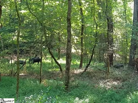 Other - 761 Pearson Town Rd, Moore, SC 29369 photo 9 of 11