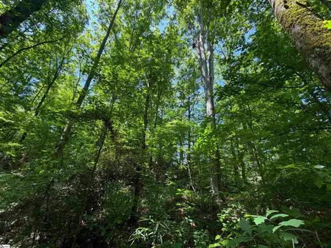 165 Tabor St, Central, SC 29630 photo 7