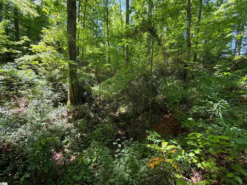 165 Tabor St, Central, SC 29630 photo 5