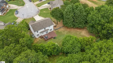 View/Area - 121 Steepleview Ct, Greer, SC 29651 photo 5 of 7
