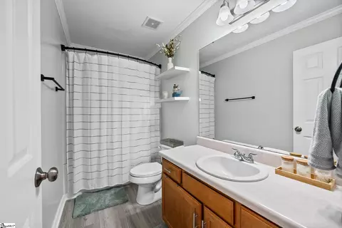 Bath - 121 Steepleview Ct, Greer, SC 29651 photo 1 of 3