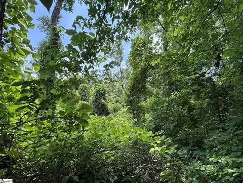 00 Serene Dr, Waterloo, SC 29384 photo 9