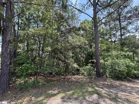 00 Serene Dr, Waterloo, SC 29384 photo 4