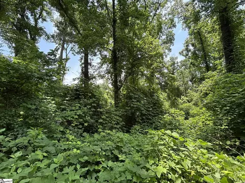 00 Serene Dr, Waterloo, SC 29384 photo 8