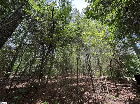 00 Serene Dr, Waterloo, SC 29384 photo 6