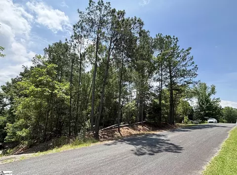 00 Serene Dr, Waterloo, SC 29384 photo 3
