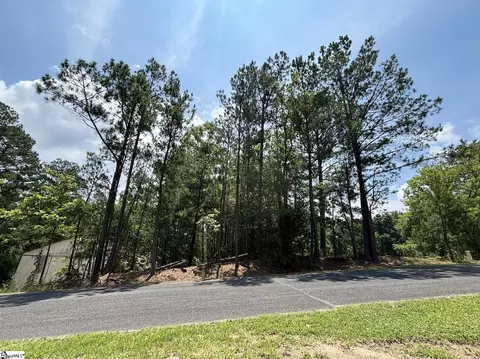 00 Serene Dr, Waterloo, SC 29384 photo 2