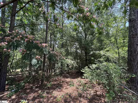 00 Serene Dr, Waterloo, SC 29384 photo 5